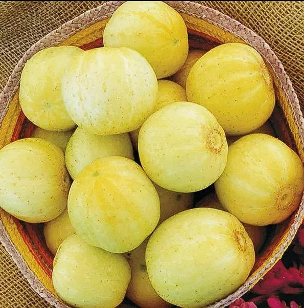 Crystal Lemon Cucumber Seeds | 20+ | Non GMO | Sweet Taste
