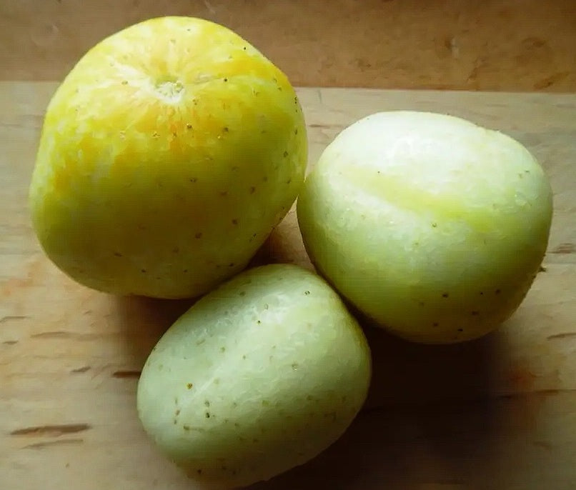 Crystal Lemon Cucumber Seeds | 20+ | Non GMO | Sweet Taste