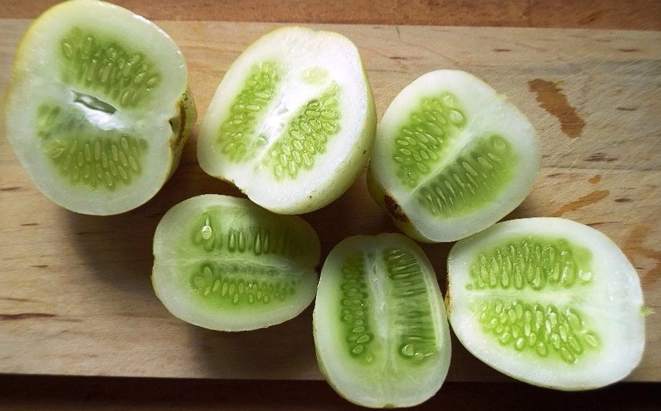 Crystal Lemon Cucumber Seeds | 20+ | Non GMO | Sweet Taste