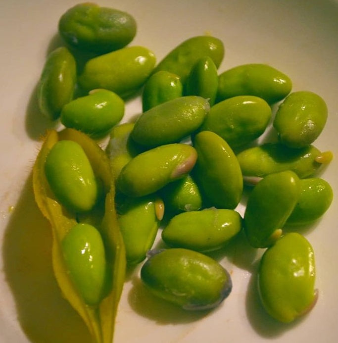 Edamame Soy Beans | 30+ Seeds | Organic | Endamame