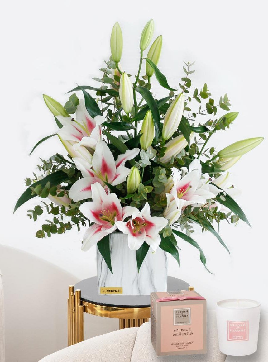 Eucalyptus Cinerea | 20+ seeds | Silver Dollar Tree