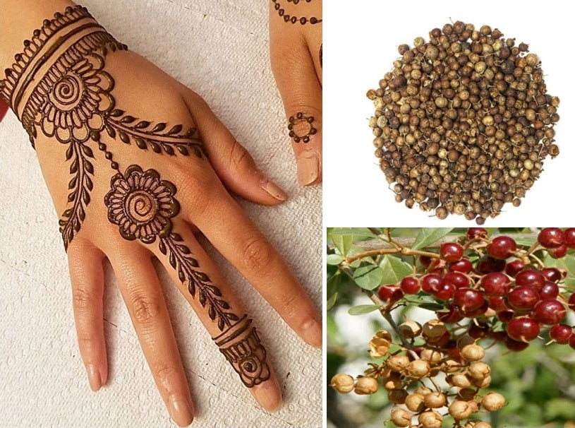 Henna Seeds | Mehndi |मेहँदी | 500+ seeds | Henna Tattoo