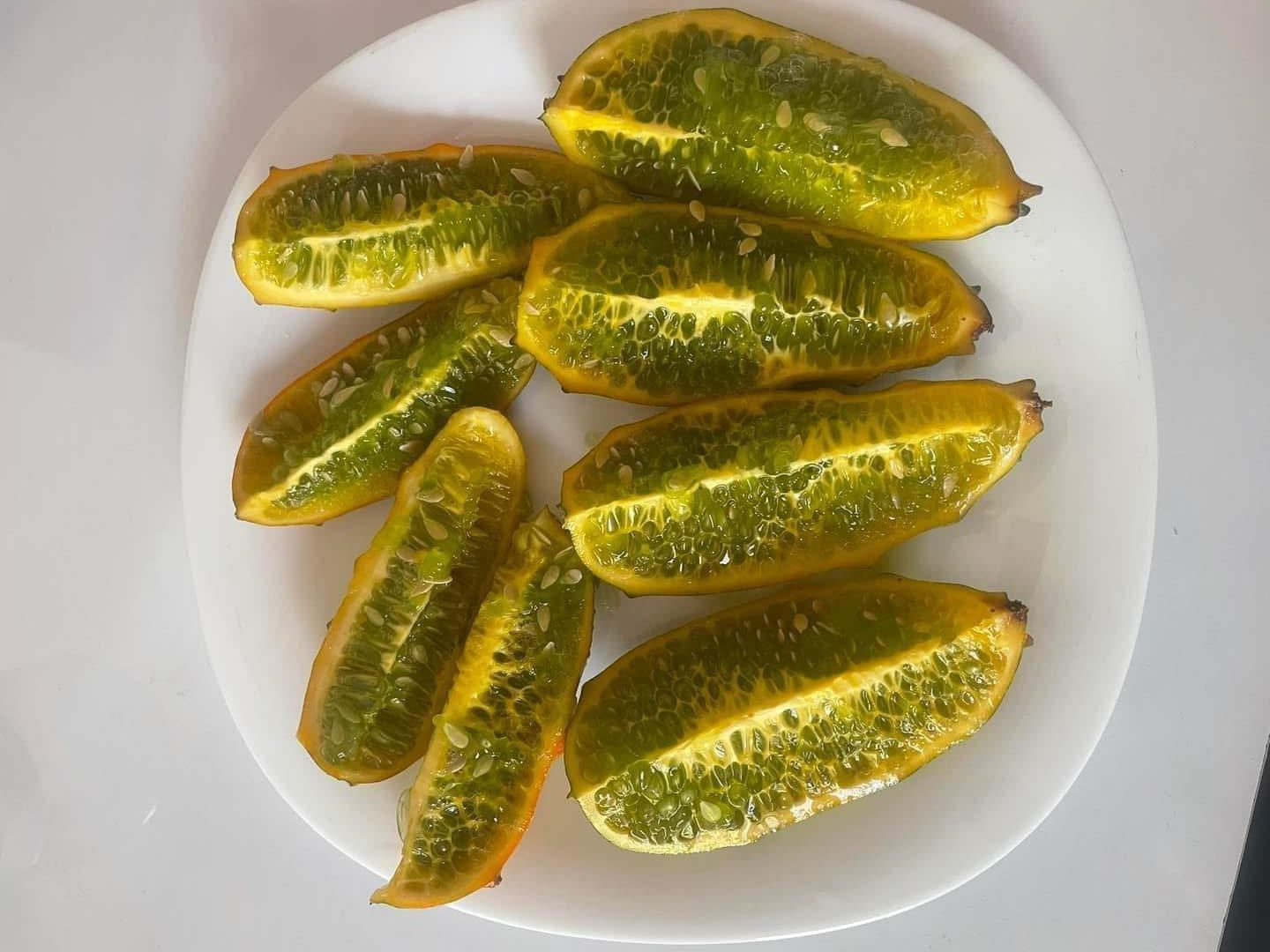 Horned Melon | African Horned Cucumber | Kiwano | 10+ viable seeds