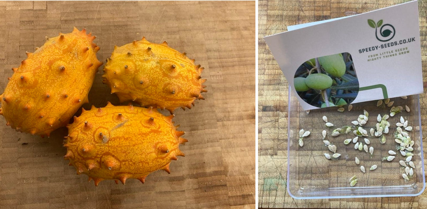 Horned Melon | African Horned Cucumber | Kiwano | 10+ viable seeds