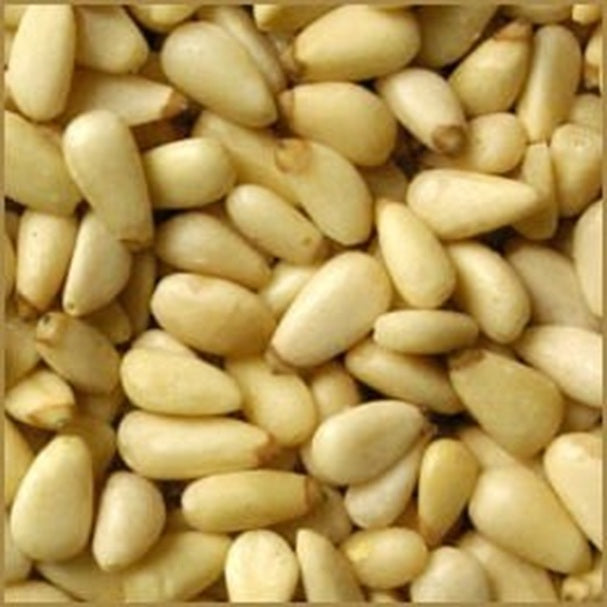 Korean Pine | 7 seeds | Pinus Koraiensis | Bonsai | Rare | Pine Nuts