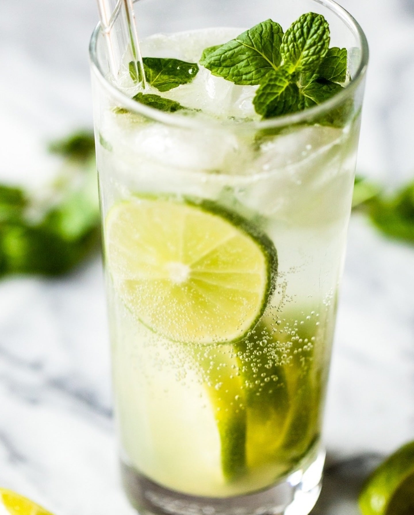 Mint Seed Collection - Peppermint, Applemint and Spearmint | Summer Drinks