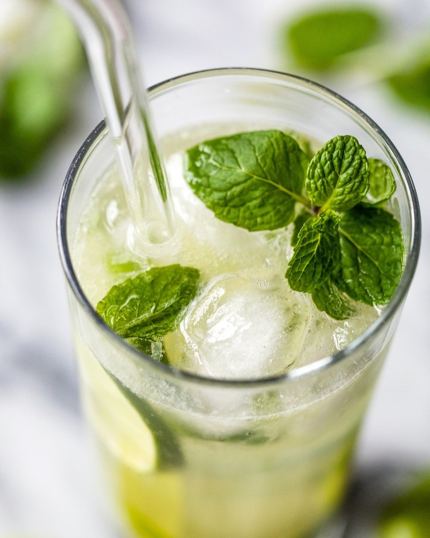 Mint Seed Collection - Peppermint, Applemint and Spearmint | Summer Drinks