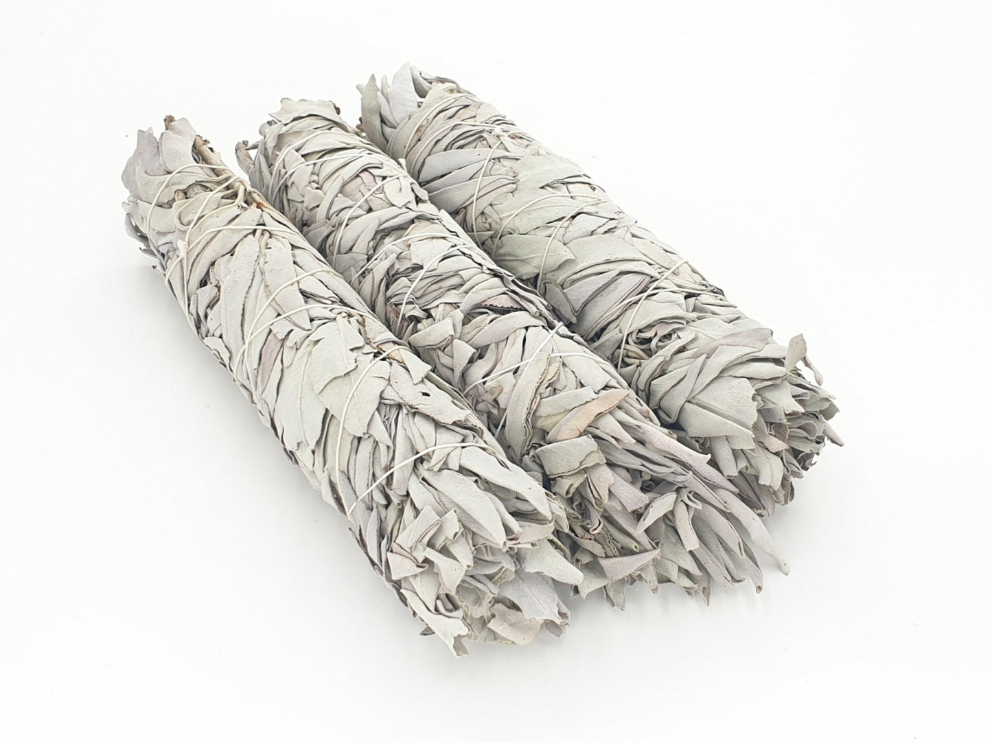 White Sage | Salvia Apiana | 50+ seeds | Smudging