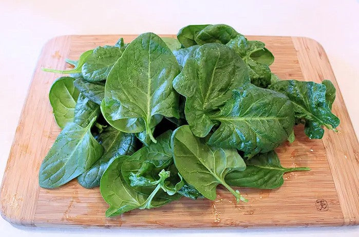Giant Winter Spinach | 200+ seeds | Year Round | Microgreens | Very Easy