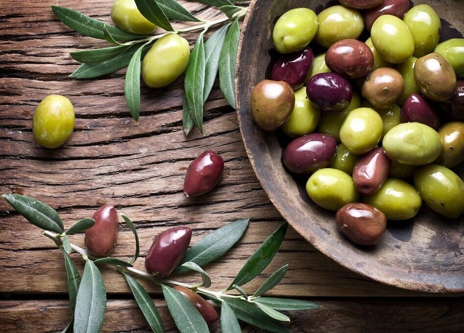 Cyprus Olive Tree | (Olea Europaea) | 25+ seeds | Same Day Dispatch