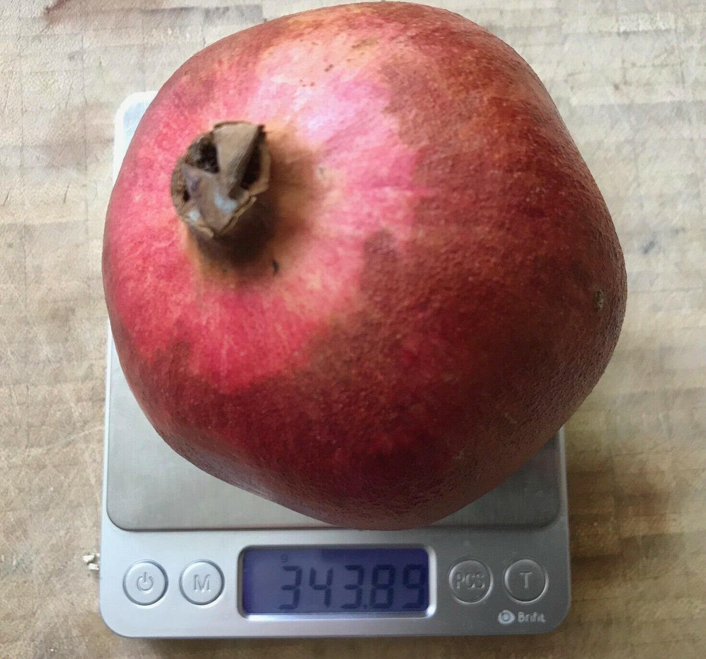 Dwarf Pomegranate (Punica Granatum) 25+ seeds | UK Hardy