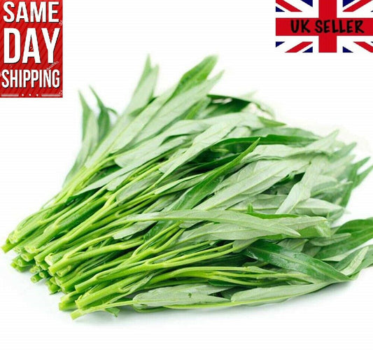 Thai Water Spinach (Ipomoea Aquatica) 50 seeds. 空心菜 Same Day Dispatch