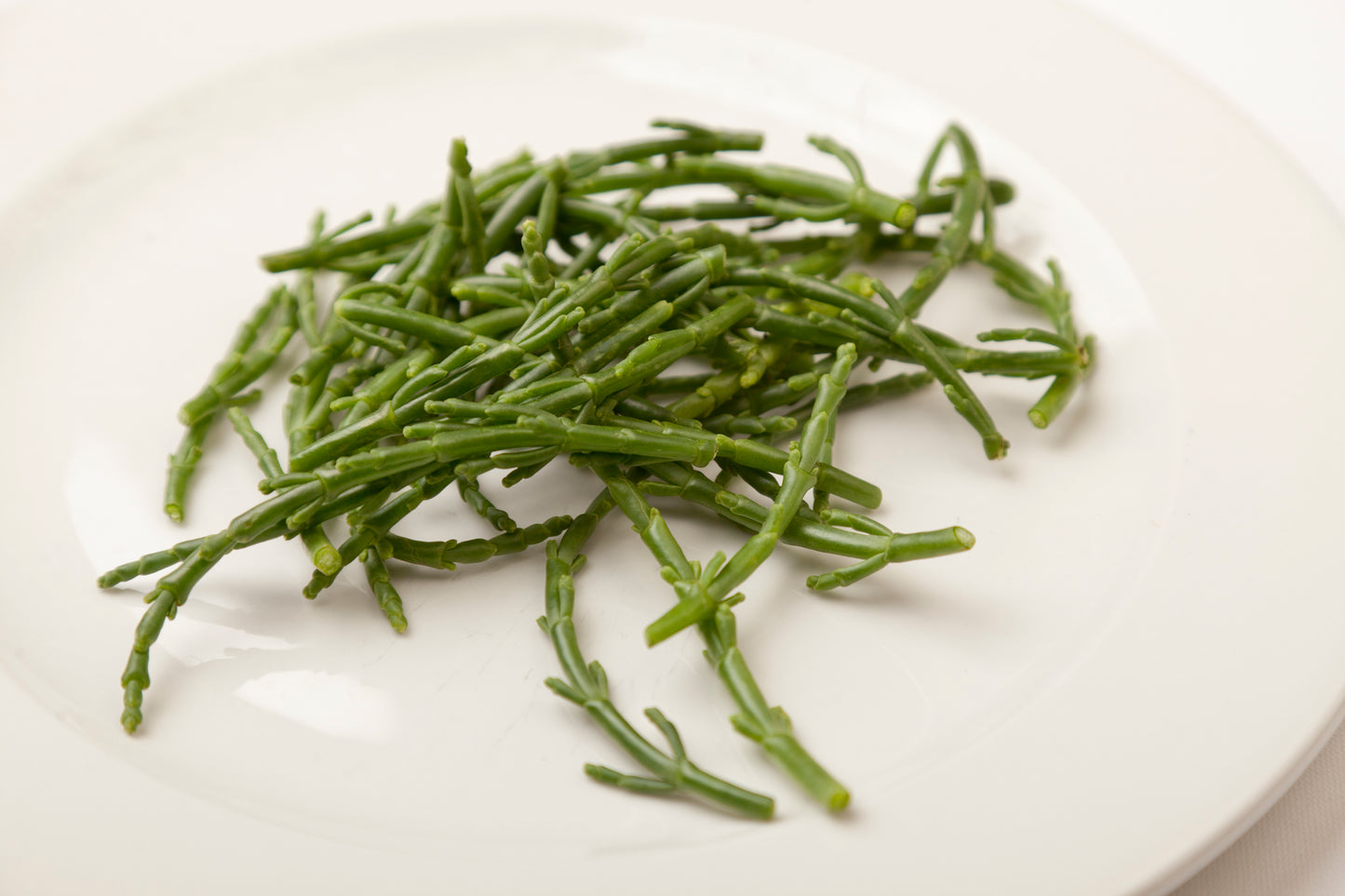 Rock Samphire | Crithmum Maritimum | 30+ seeds | Edible Herb