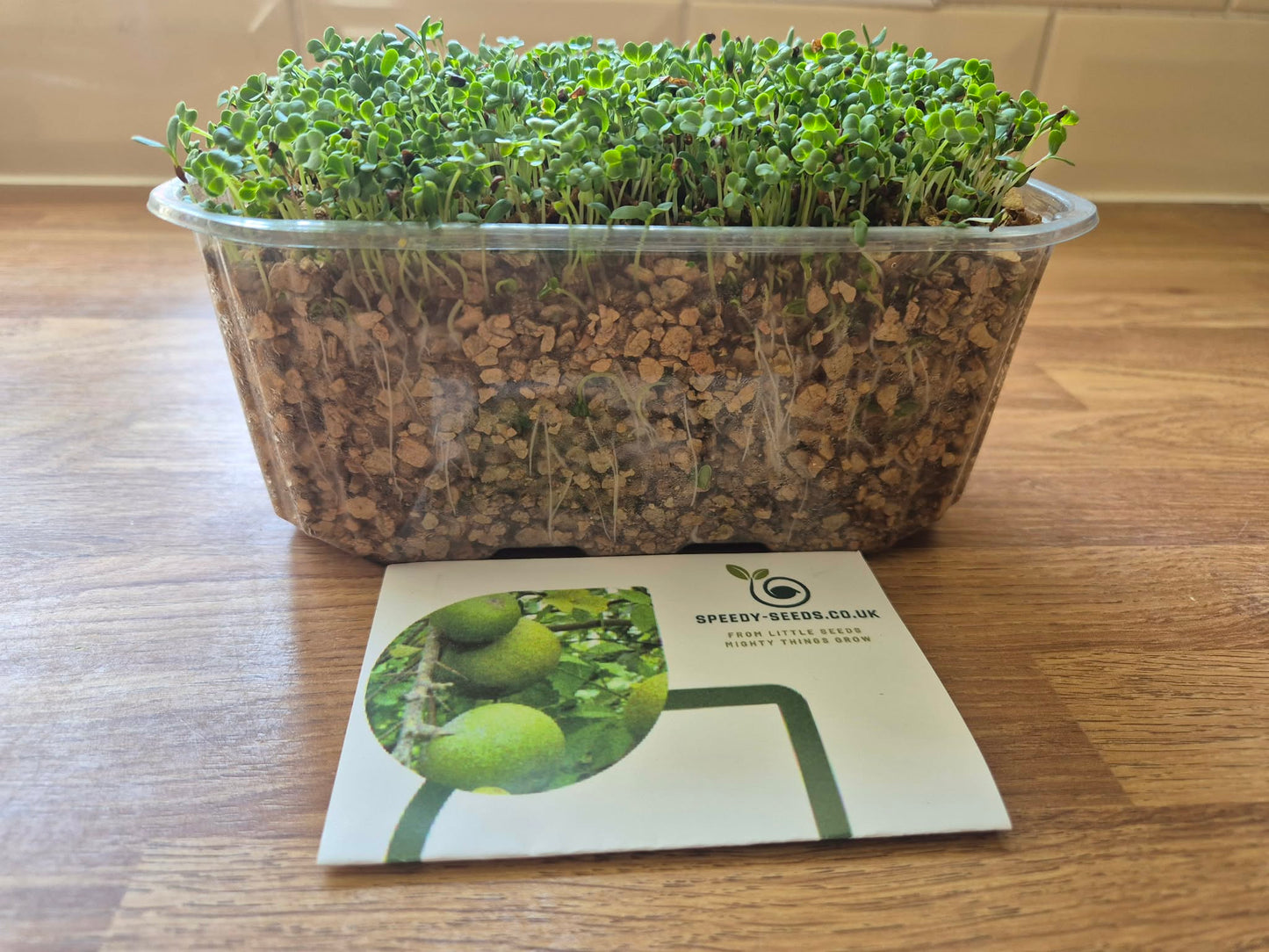 Vitamin Boost Mix 1 | Broccoli Kale Alfalfa | Microgreens | 10g Organic seeds