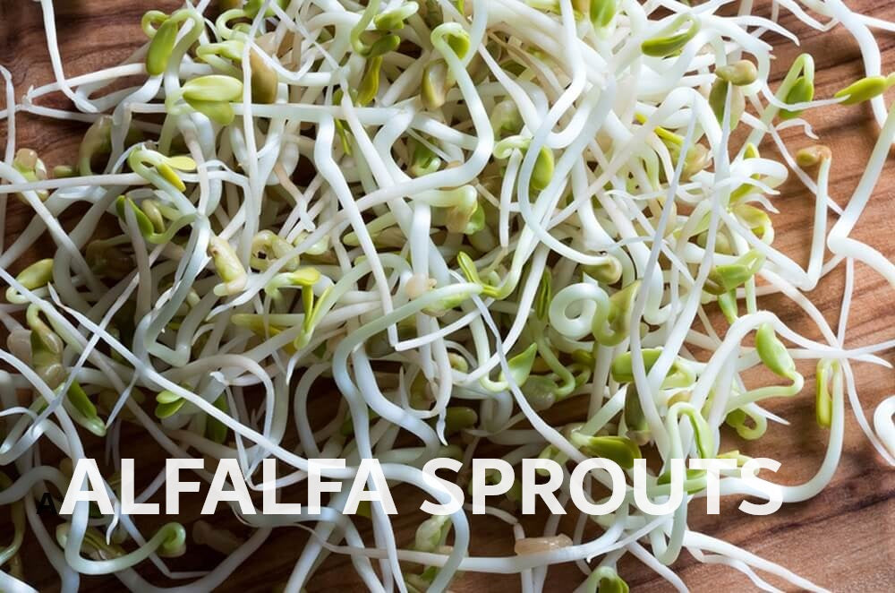 Organic Seeds for Sprouting / Sprouts | Many Types | Healthy Microgreens all year round!