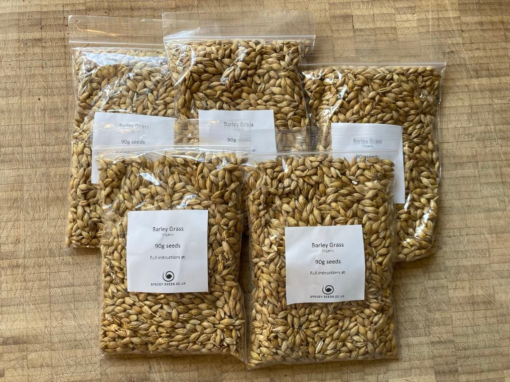 Cat Barley Grass Seed 90g Organic