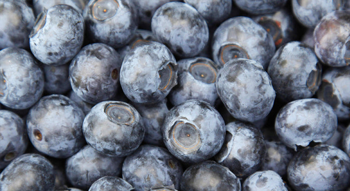 Blueberry | 100+ fresh seeds | Heavy Cropper | Fully Hardy