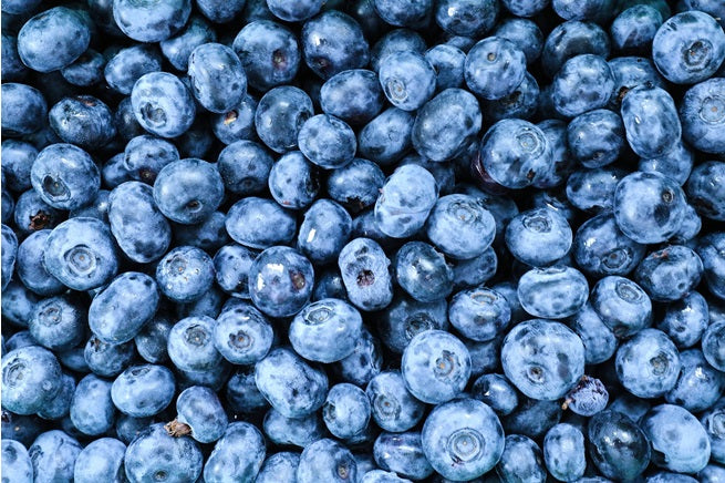 Blueberry | 100+ fresh seeds | Heavy Cropper | Fully Hardy