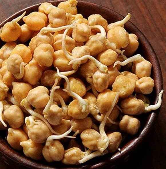 Chickpeas | 100+ seeds | Organic Non-GMO | For Sprouts and Microgreens