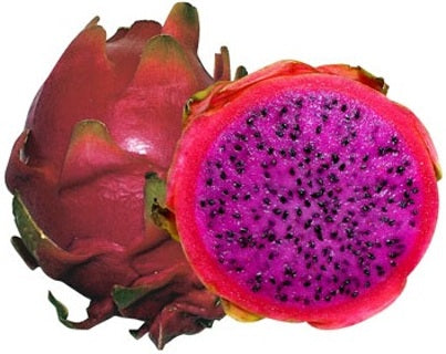 Dragon Fruit Cactus Seeds Mix | Red, Yellow, Purple | 3 packets