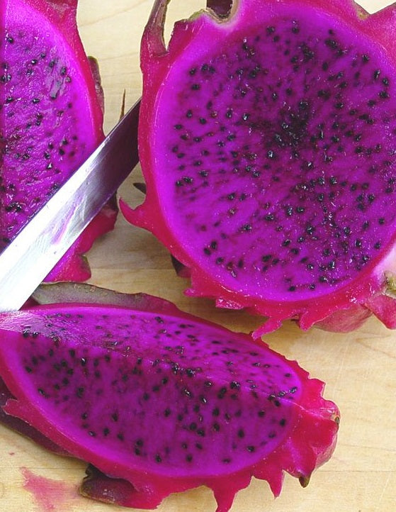 Dragon Fruit Cactus Seeds Mix | Red, Yellow, Purple | 3 packets