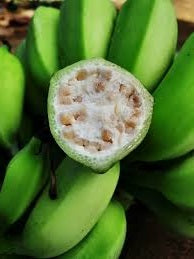 Edible Banana | Musa Balbisiana | 10 seeds | Very Fast Growing