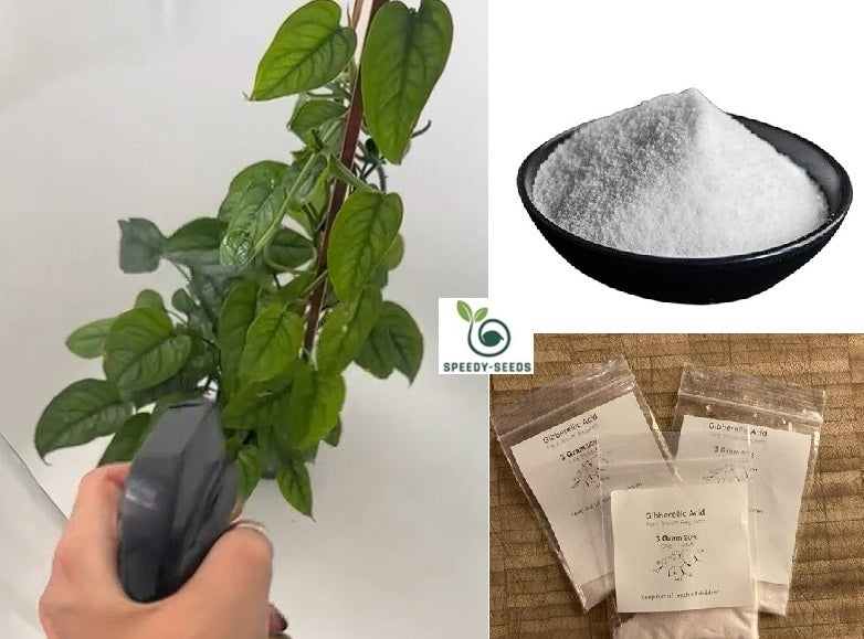Gibberellic Acid 90% | Water Soluble | Instructions | Plant Growth | Seeds