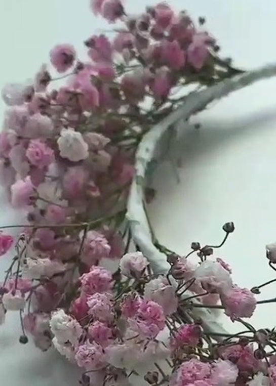 Gypsophilia Pink Creeping Rose | Baby's Breath | 200+ seeds | Bouquets Weddings