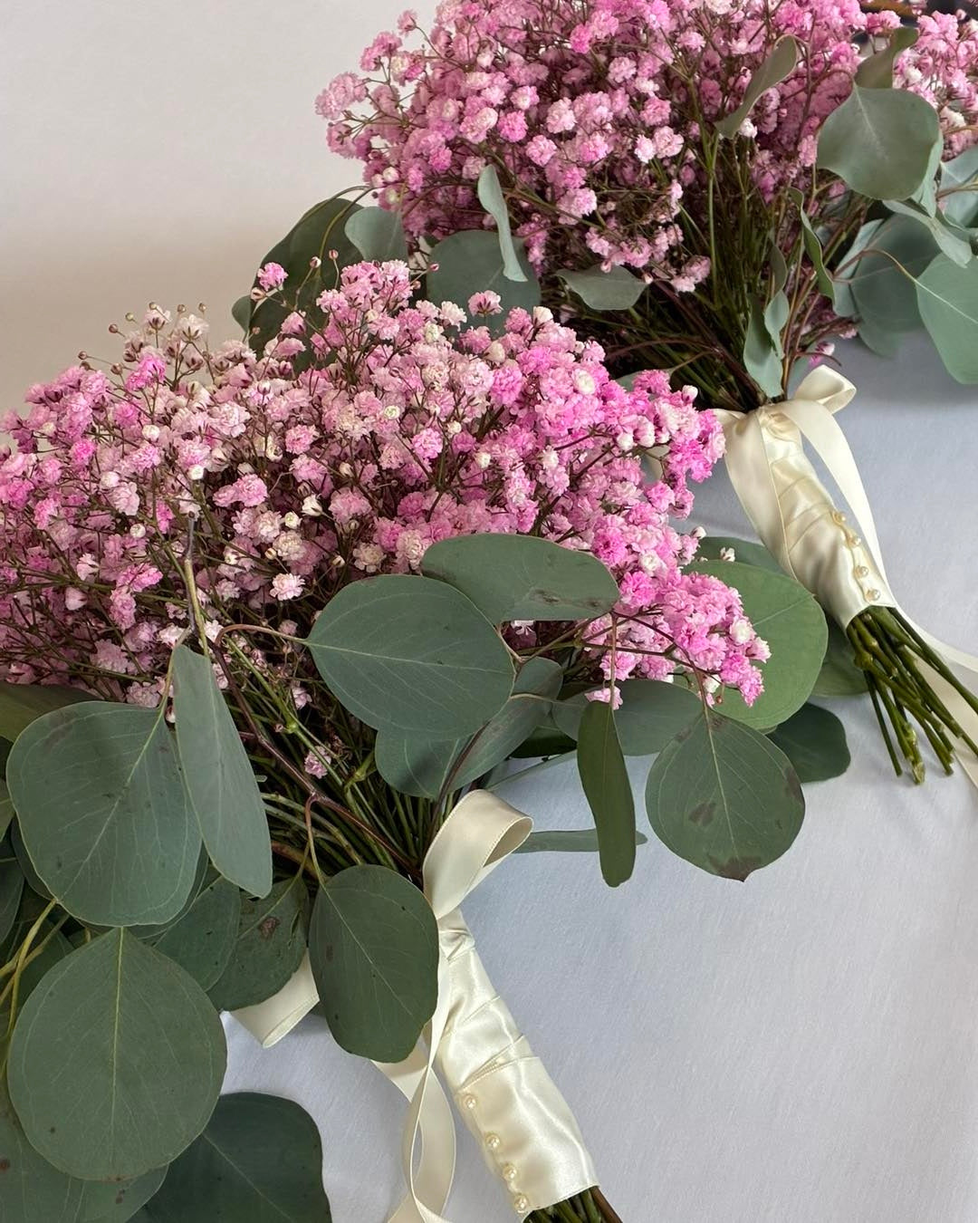 Gypsophilia Pink Creeping Rose | Baby's Breath | 200+ seeds | Bouquets Weddings