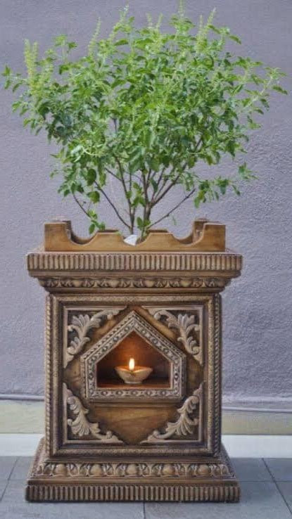 Tulsi seeds  | Holy Basil | Ocimum Sanctum | 100+ seeds | Tulsi | Hindu Cerimonial