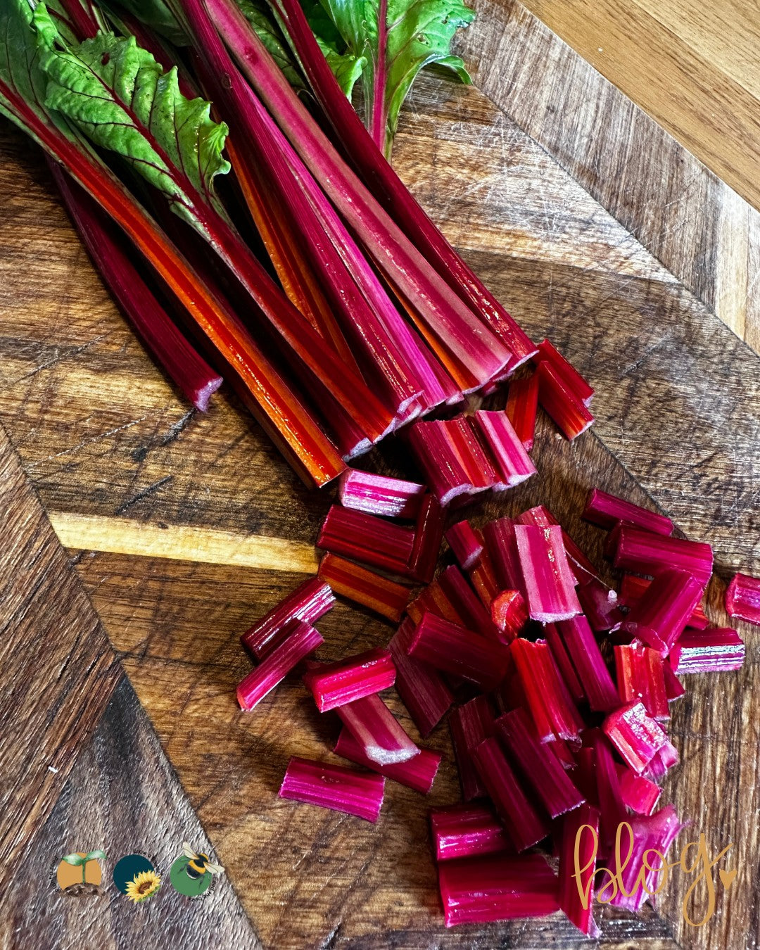 Mangel Wurzel | Mammoth Long Red | 100+ seeds | Easier and Tastier than Beetroot