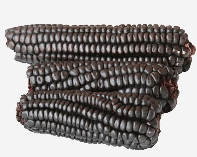 Morado Sweetcorn | 25+ seeds | Purple | Chicha