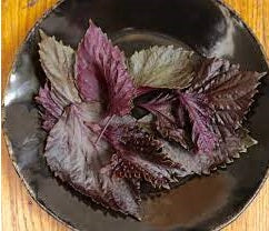 Red Shiso | Perilla | Japanese Basil | Beefsteak Plant | 200+ fresh seeds