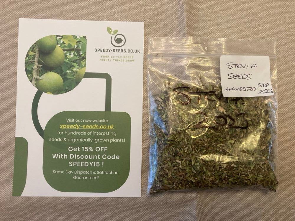 Stevia (Stevia Rebaudiana) | 50+ Seeds | Organically Grown | Own Crop
