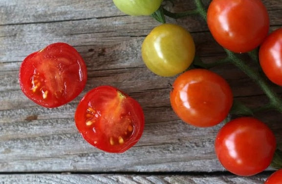 Tomato seeds | Sweet Aperitif | 15 Seeds | Sweet Cherry | Very High Yield
