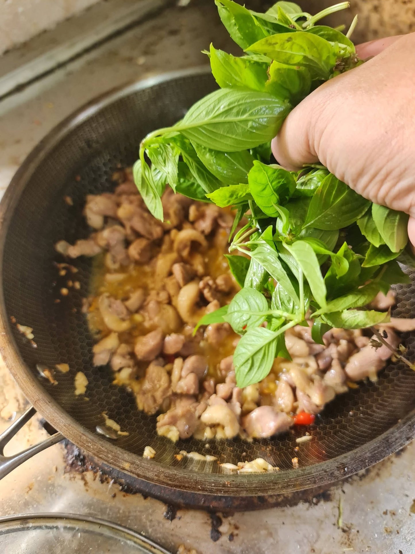 Thai Basil | 5000+ seeds | Liquorice Basil | Rau Húng Quế  |Asian cooking | Horapha