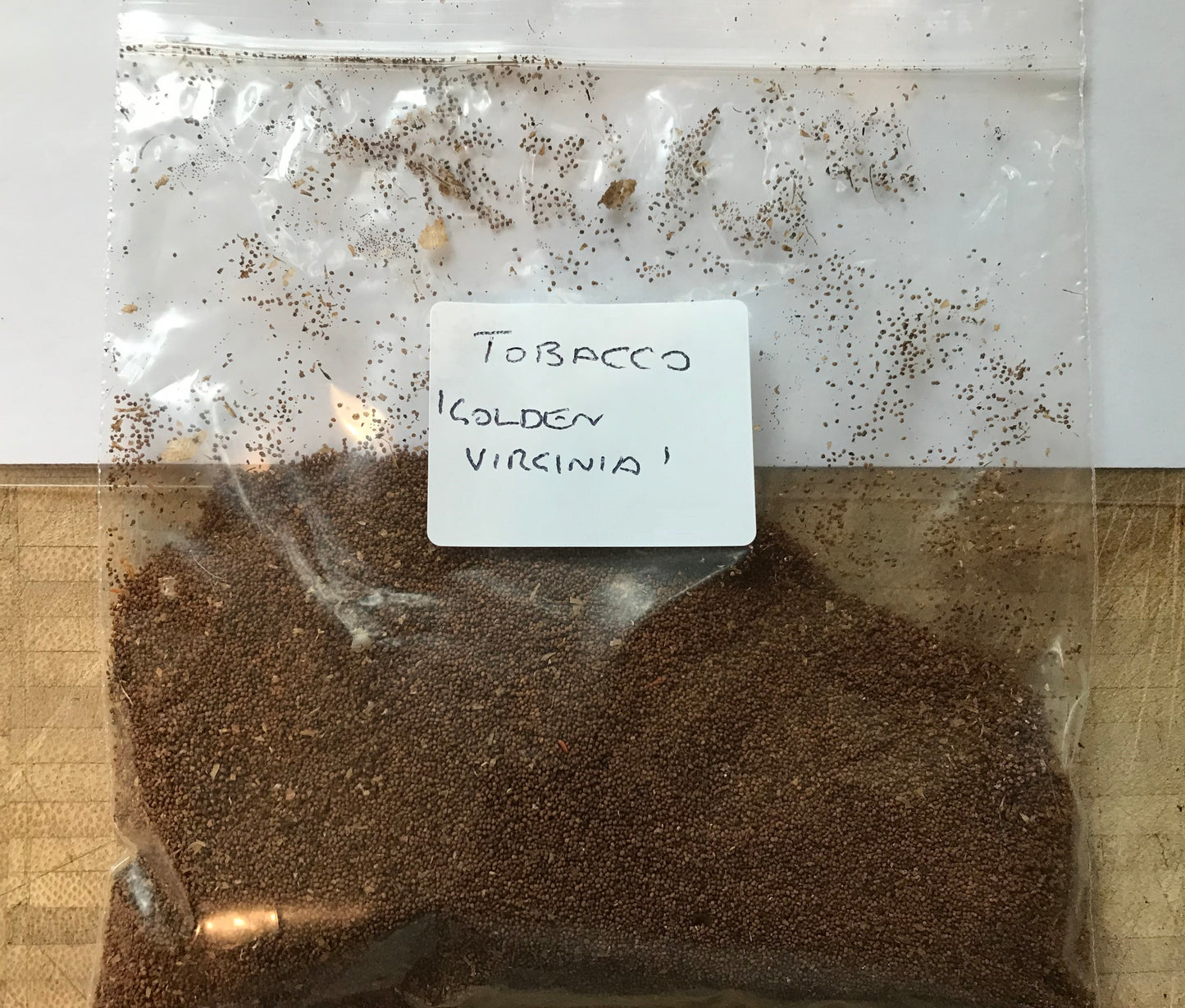 Tobacco (Golden Virginia) | 500+ seeds approx | UK organically grown 2024 stock