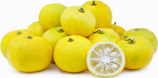 Japanese Yuzo (Citrus Junos) | 8 seeds | Lemon | Very Rare