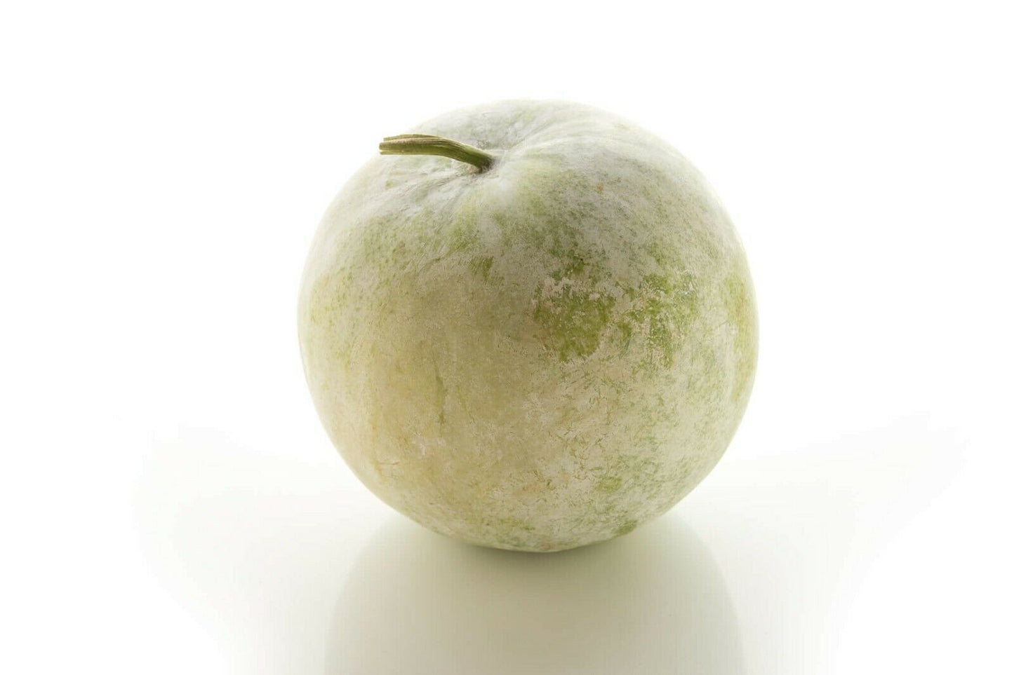 Ash Gourd / Winter Melon (Benincasa Hispida) | 5 seeds