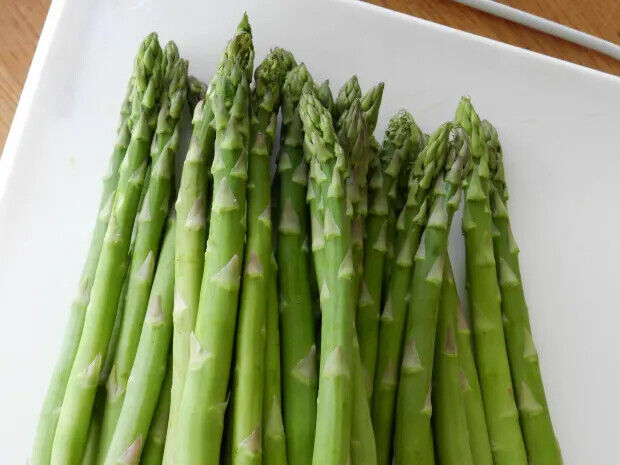 Asparagus Mary Washington 25+ seeds | Organic | Own Harvest