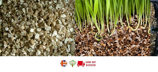 Premium Vermiculite 1L | Medium Grade | Seed Sowing | Same Day Dispatch