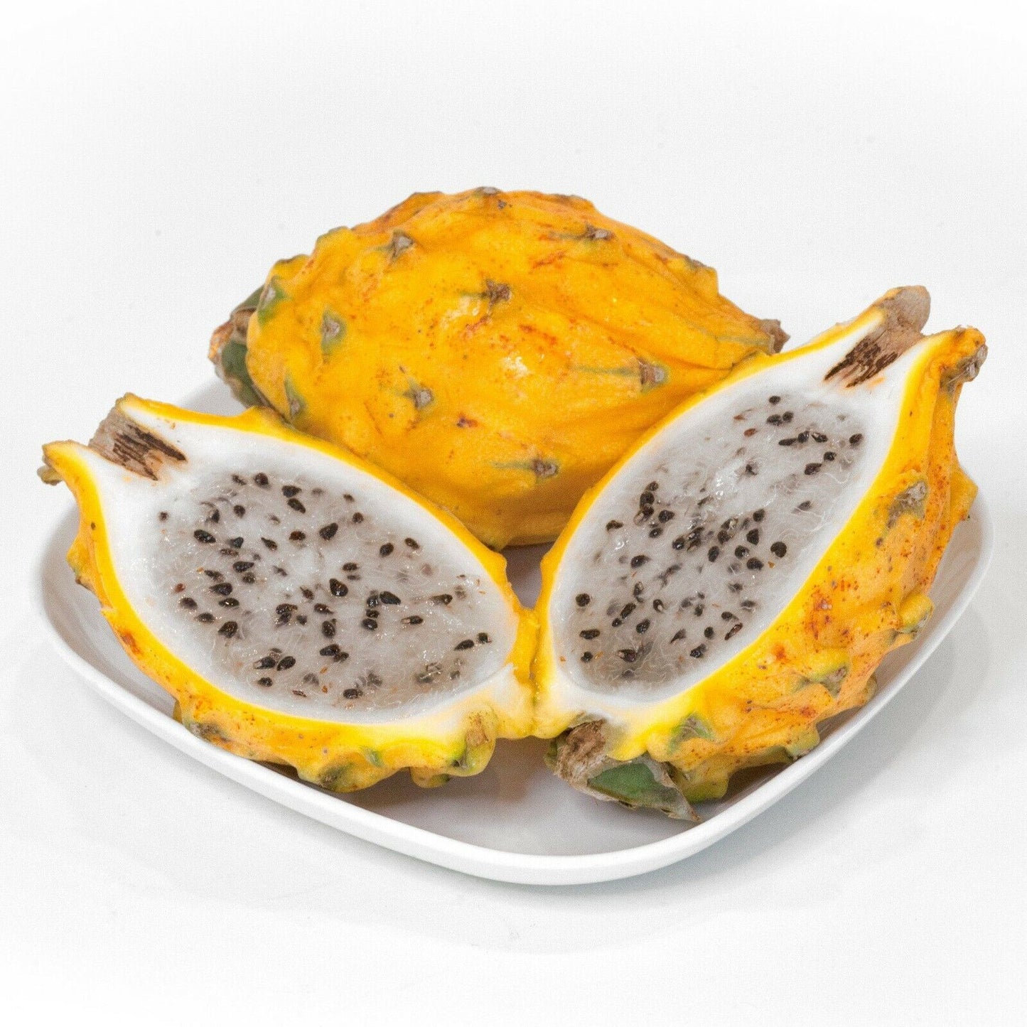 Yellow Dragon Fruit | 15+ seeds | Pitaya