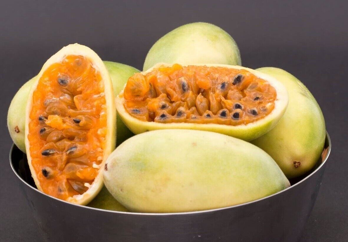 Edible Banana Passion Fruit (Passiflora Mollissima) 10+ Seeds