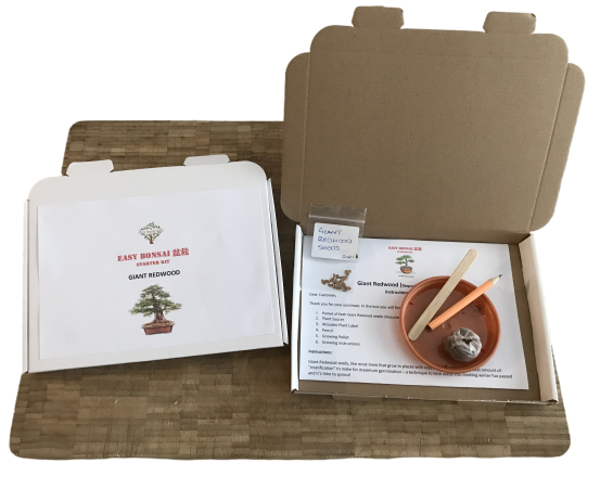 Grow Your Own Bonsai Starter Kit - Giant Redwood | Indoor | + FREE GIFT