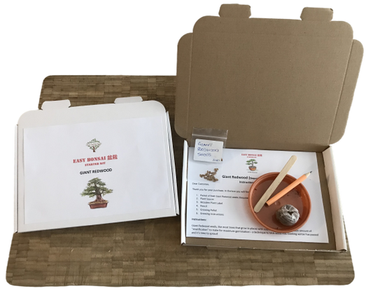 Grow Your Own Bonsai Starter Kit - Giant Redwood | Indoor | + FREE GIFT